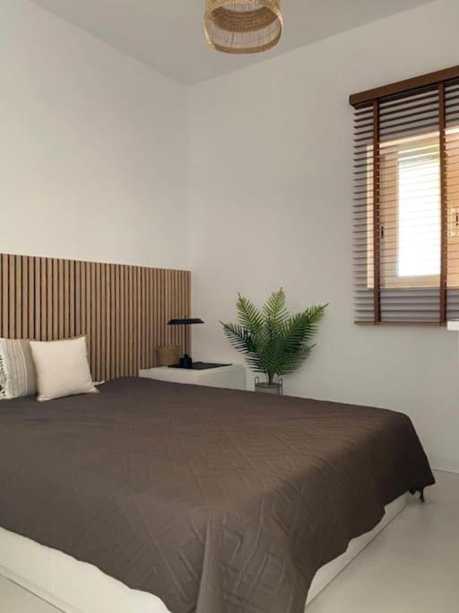 The Palm Apartment Karpathos Luaran gambar